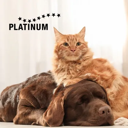 Vyhraj prémiové krmivo Platinum pro své čtyřnohé parťáky!