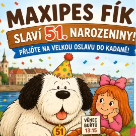 Fík sfoukne 51 svíček