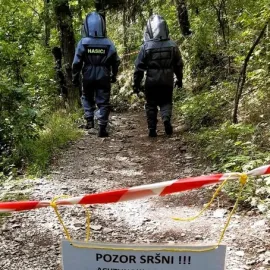 Pozor! Sršni útočí