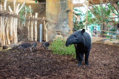 Ústecká zoo zahájila sezonu řadou novinek