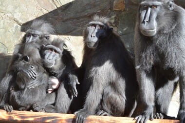 Zoo Děčín je otevřená