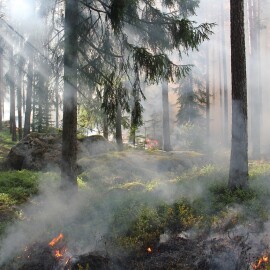 Výstraha meteorologů před vznikem požárů trvá