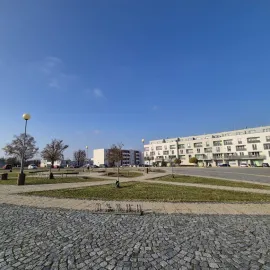 Vojáci odpochodovali, stromy nastupují