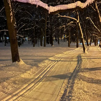 Zámecká zahrada zve na běžky