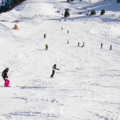 Lyžovat se dá i zdarma