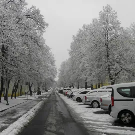 Řetenická alej to natřela Řípu