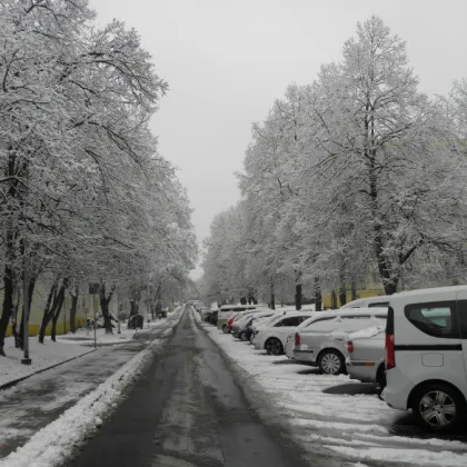 Řetenická alej to natřela Řípu